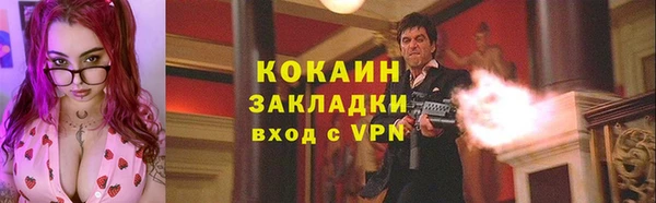 мяу мяу кристалл Няндома