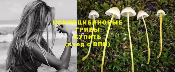 мяу мяу кристалл Няндома