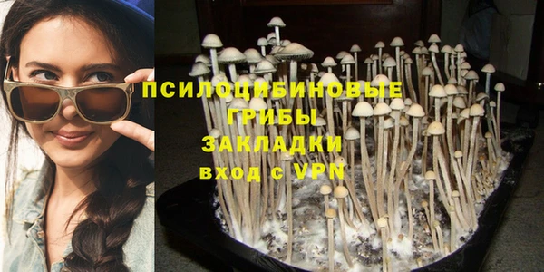 мяу мяу кристалл Няндома