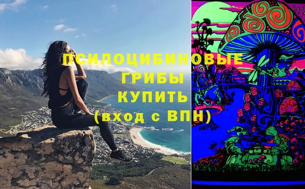 мяу мяу кристалл Няндома