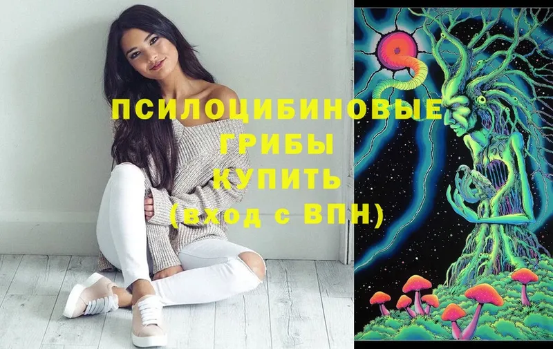 что такое   Менделеевск  KRAKEN сайт  Псилоцибиновые грибы Magic Shrooms 