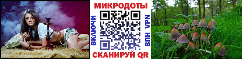 Псилоцибиновые грибы мицелий  Менделеевск 