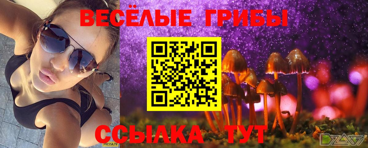 Менделеевск  продажа наркотиков  Вход с VPN  Псилоцибиновые грибы GOLDEN TEACHER 