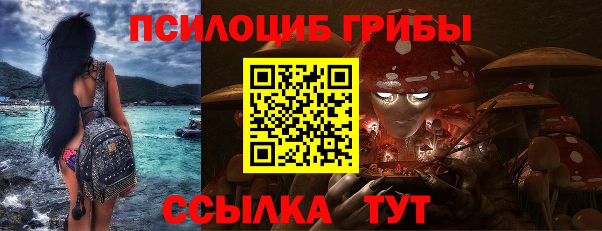 Псилоцибиновые грибы ЛСД Менделеевск