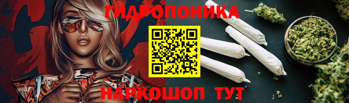 Шишки марихуана семена Менделеевск